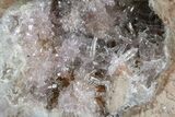 Las Choyas Coconut Geode Half with Amethyst Crystals - Mexico #165559-1
